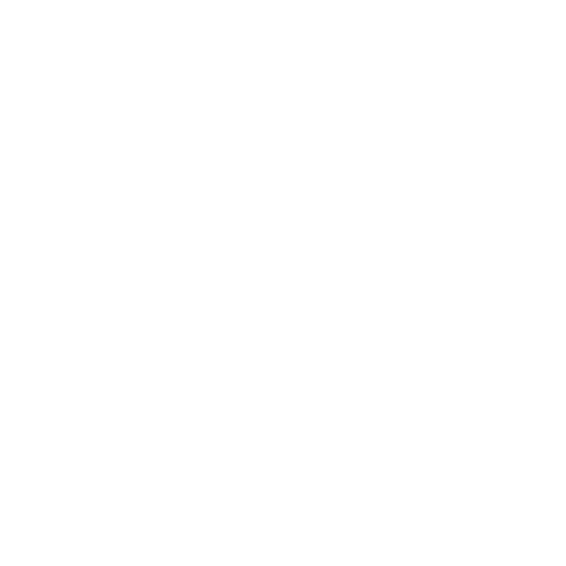 shlagbaumy
